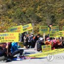 도원 태양광발전소 이미지