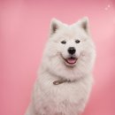 수종합동물병원 이미지