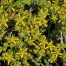 남생이못 이미지