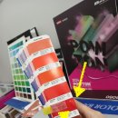 (주)디앤씨바이오 | 정*장 신라면세점 제주점,(주)압*디앤씨/ 내부용 조색실리콘 주문 건 / 조색실리콘 천삼광