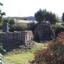 노당1리 이미지