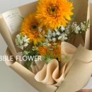 진도꽃집 - 예산군 사직로 23 | 진도꽃집