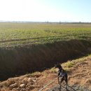 김철수농장 이미지