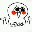 로지로키로드