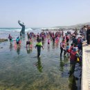 호미곶돌문어 이미지