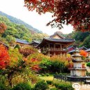 가을여행 이미지