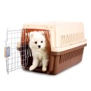 반려켄넬 이미지