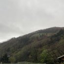 봉래약국 이미지