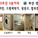 수영동 Daum카페