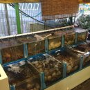 지에스(GS)25 일산해변점 이미지