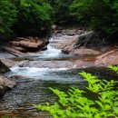 대원사계곡 이미지