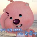 정성장어