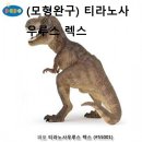 렉스소프트 이미지