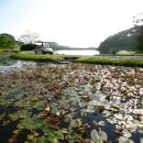 태인컨트리클럽 이미지