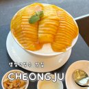 다올광고 | 청주 망고빙수 맛집 방서동 카페다올 내돈내산