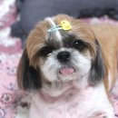 로미한의원 이미지