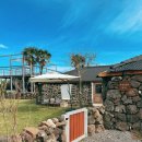 마롱스테이 | 제주 애견동반 숙소 마롱스테이｜강아지와 편하게 쉬기 좋은 힐링 스테이