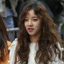 현애견미용실 이미지