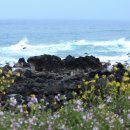 폭포수목장 이미지