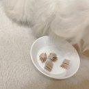 유별난 가위 이미지