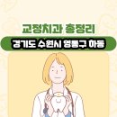 이가영치과의원 | 경기도 수원시 영통구 하동 교정치과 총정리