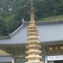 국보목장 이미지