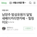 남양주 4천평 베이커리까페'달빛새 베이커리" 이미지