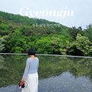 5월 경주 당일여행 코스 추천 🍀 (서문시장 칼국수는 먹고가야지)