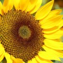 청안면사무소 이미지