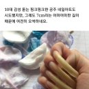 마녀손톱 - 창원시 성산구 동산로 124 | 마녀손톱