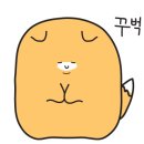 카젠카센터 이미지