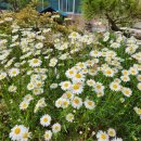 이레목장 1 이미지