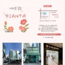 스튜디오피네