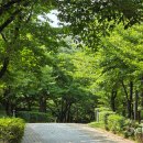 가좌이음숲 이미지