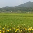 중앙2길 이미지