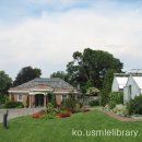 기초 생활영어 (초급) 이미지