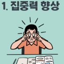 철트레이닝 이미지