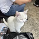 갈월공원 | 갈월종합사회복지관 수영 등록, 지속가능 다이어트...용산가족공원 피크닉, 편평사마귀 제거 내돈내산 후기