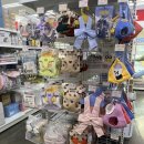 거진오토랜드자동차 | 부천 펫랜드 강아지 유모차 최저가 시승 후기! 피카고 프리투고 2.5 선택한 이유