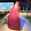 조엄기념관 | [부산 청학동] 영도 조내기 고구마 역사기념관, 뷰 맛집 루프탑과 아이들의 놀거리가 있는 역사공원까지