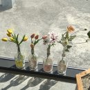 카페안시군산점 이미지