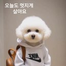도방 이미지