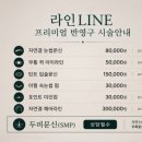 분당-308 네이버블로그