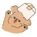 탑직구 - 송파구 | 탑직구