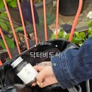 씨스페이스 달성구지점 | 닥터비도씨 베르비 다이어트 보조제 후기 베르베린 알파CD 챙기는 루틴