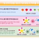 센신 이미지
