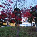 서대전농협주유소 이미지