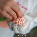 신화로36번길(3-230) | 11월 제주도 여행 코스 제주도 감귤체험 카페