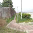 건천(부산) 이미지