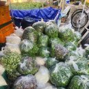 다이소대전신탄진점 이미지